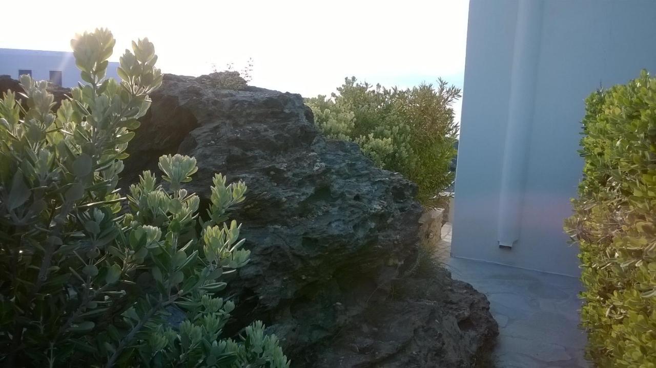 Andros Eco Home Gavrio Buitenkant foto