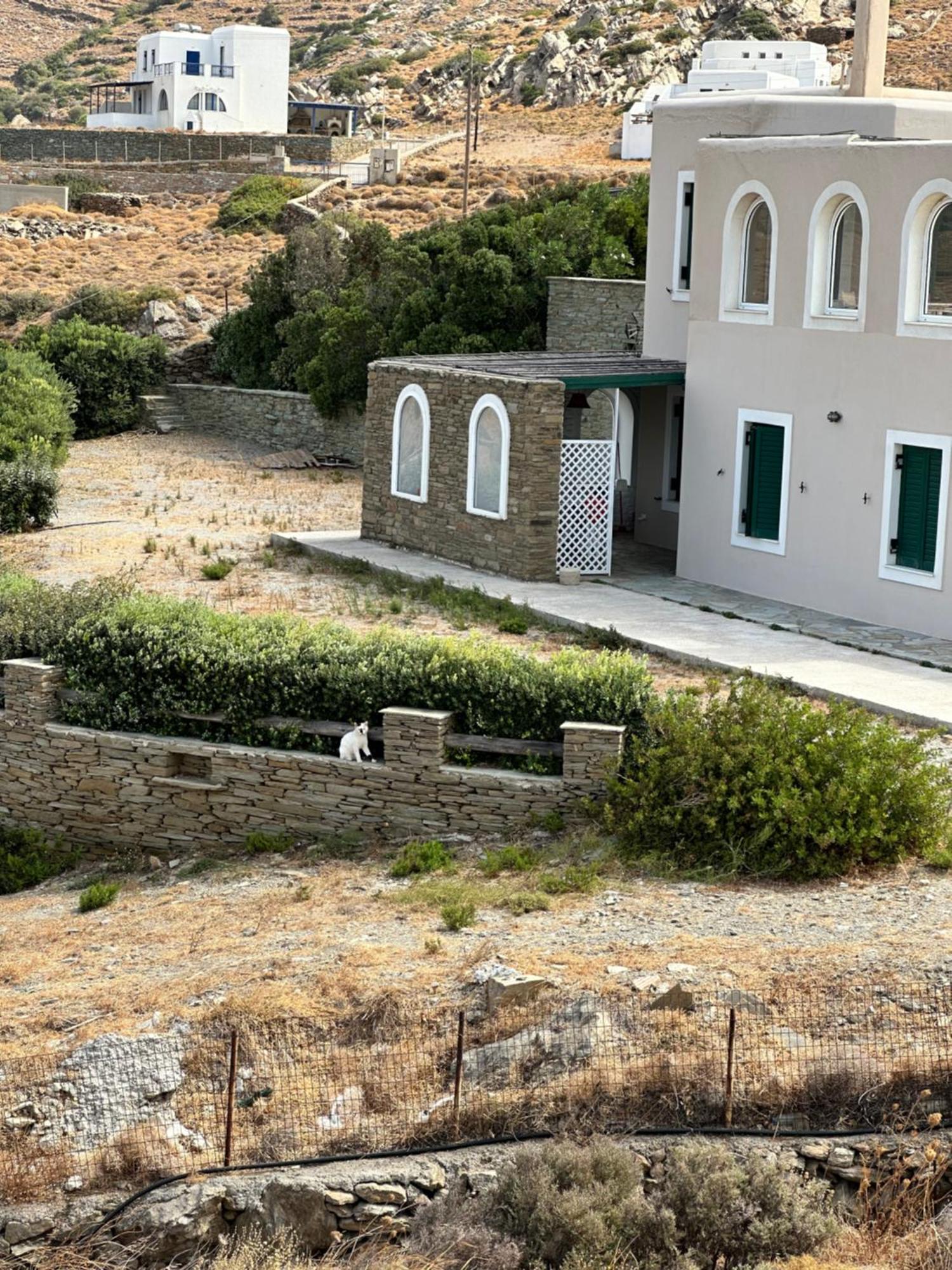 Andros Eco Home Gavrio Buitenkant foto